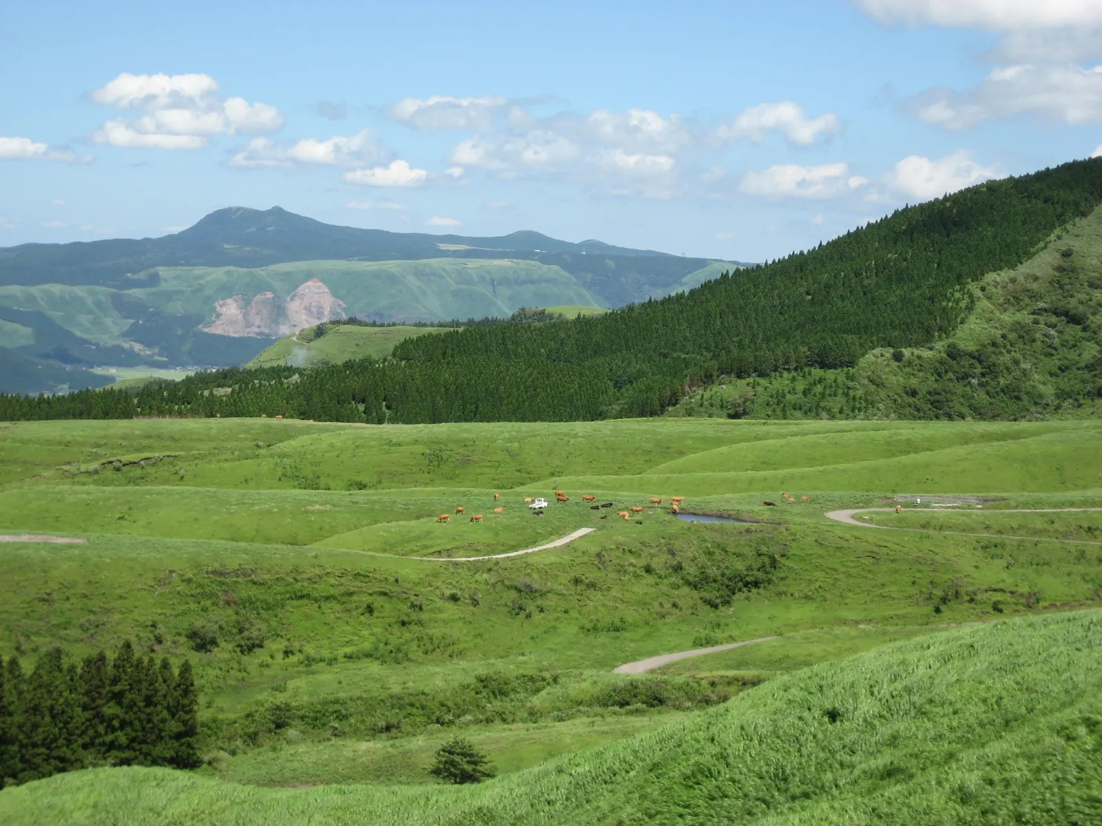 草千里ヶ浜に広がる緑の草原と阿蘇の山々