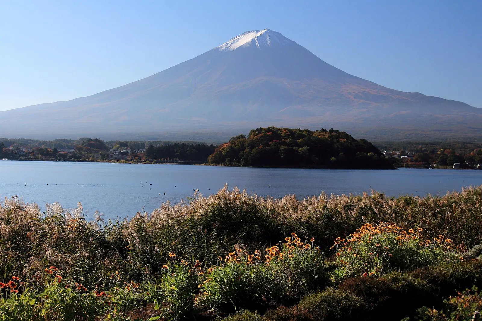 大石公園から河口湖越しに見える富士山
