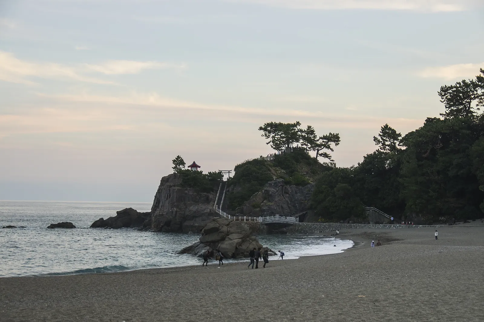 桂浜の砂浜と海辺の松林